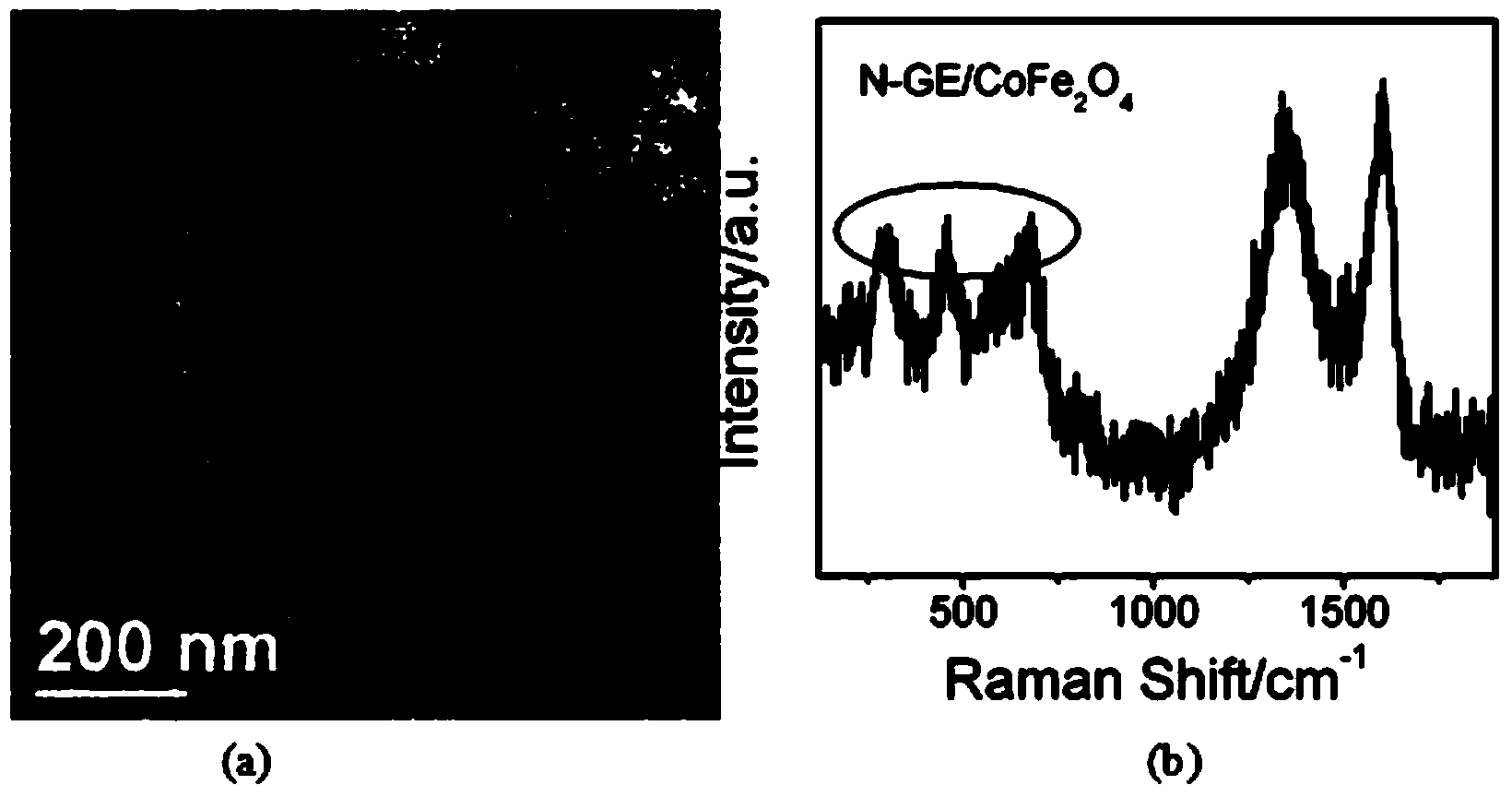 Nitrogen-doped graphene/cobalt ferrite nano composite material and preparation method thereof