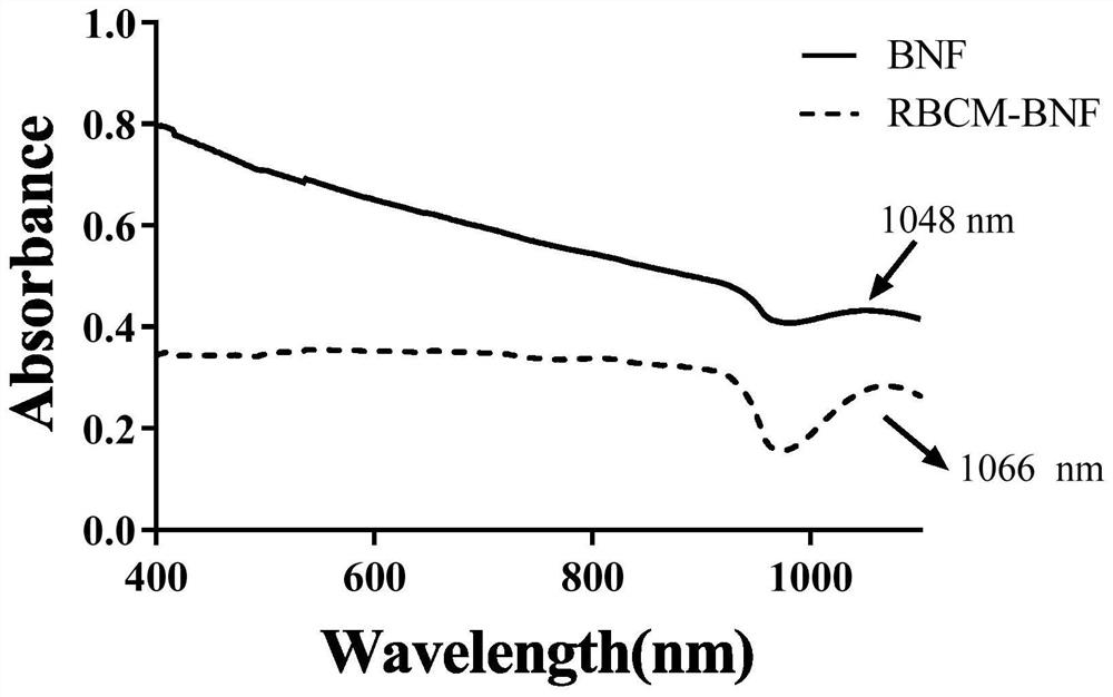 A kind of biomimetic bismuth nanoflower and its preparation method and application