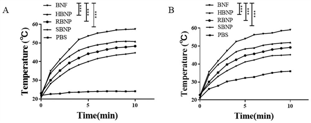 A kind of biomimetic bismuth nanoflower and its preparation method and application