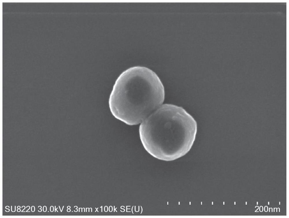 A kind of up-conversion ruthenium complex nanomaterial and its preparation and application