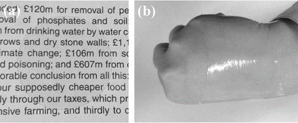 Preparation method of aloe/sodium alginate double-layer hydrogel dressing