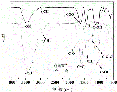 Preparation method of aloe/sodium alginate double-layer hydrogel dressing