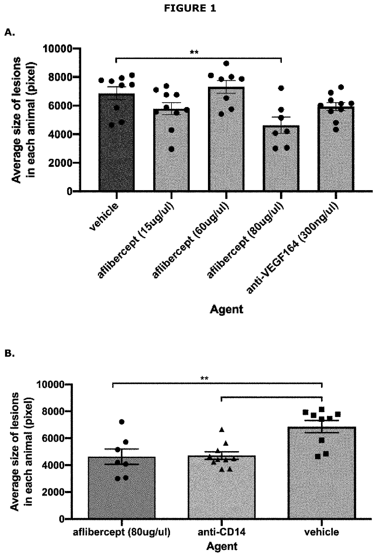 Methods and agents for the treatment of ocular disease