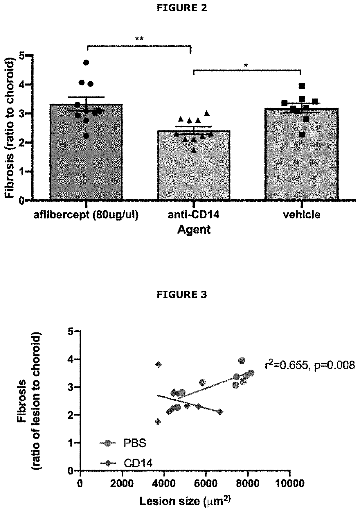 Methods and agents for the treatment of ocular disease