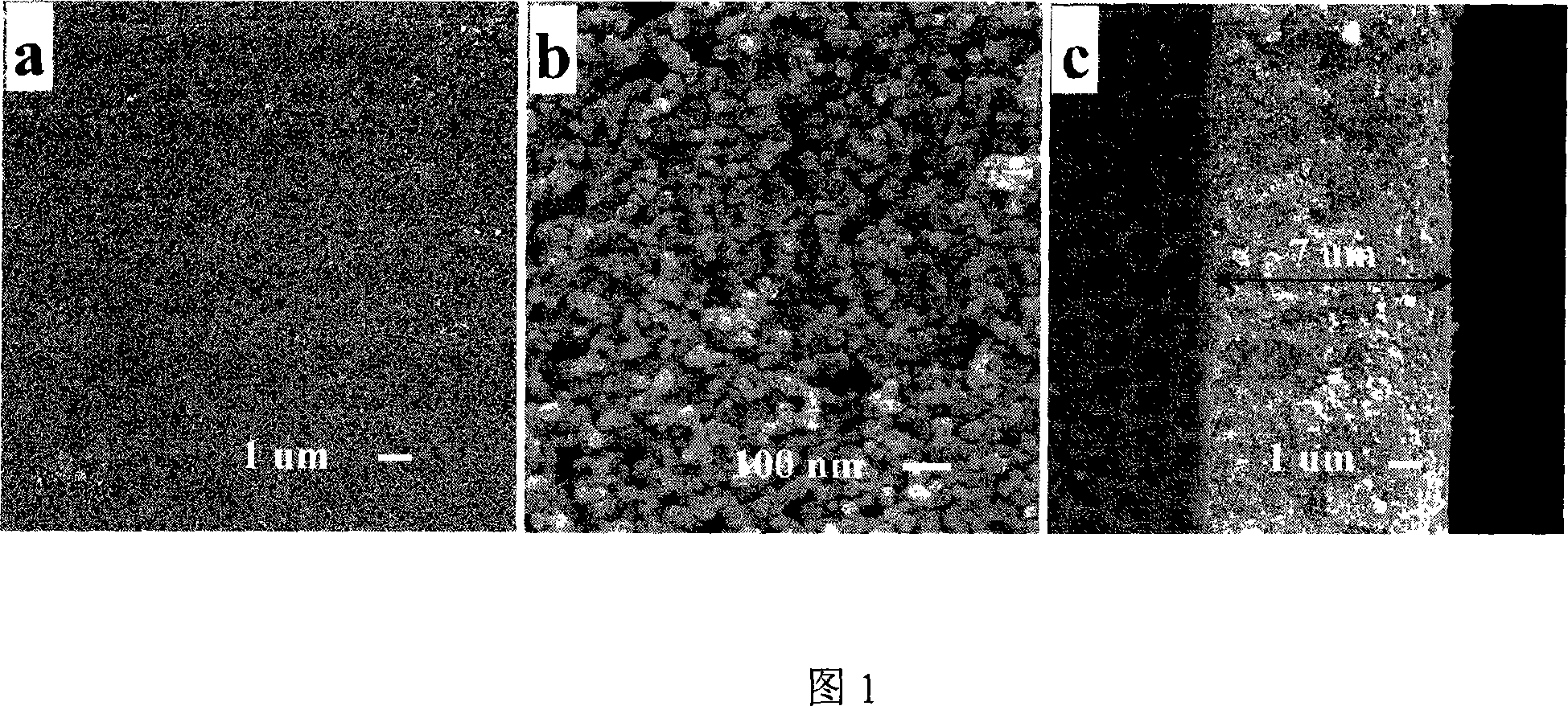 Method for preparing nanometer porous titanium oxide thick film