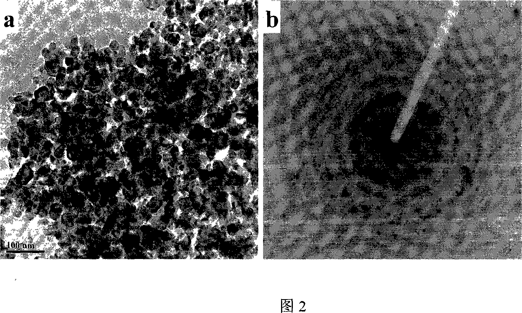 Method for preparing nanometer porous titanium oxide thick film