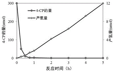 Preparation method of modified titanium dioxide photocatalysts of platinum metal and fluorin ions