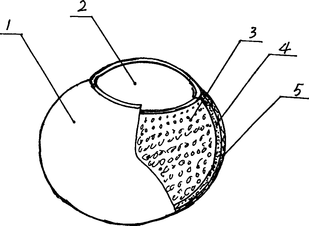 Dried orange peel health-care tea