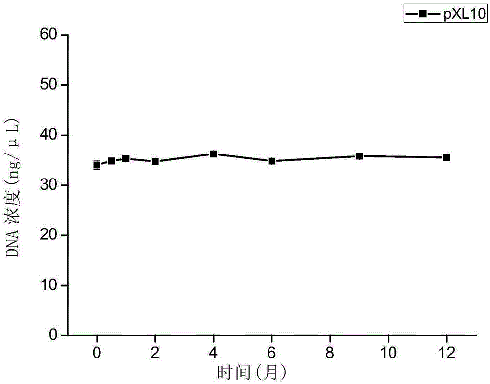 Polynucleotide, method and kit for detecting salmonella bacteria