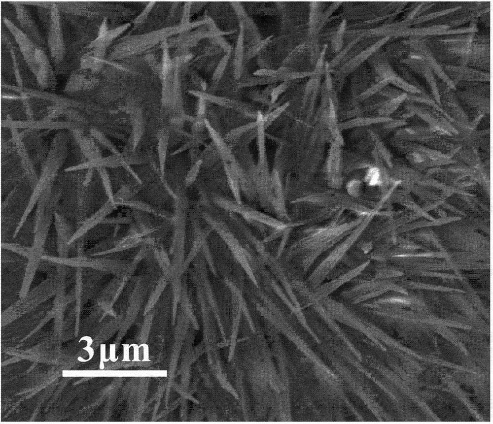 Synthesis method of barium titanate nano-needles