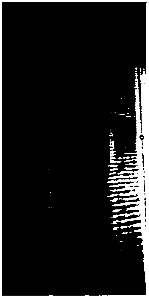 Herpes zoster virus vaccine, and preparation method and applications thereof