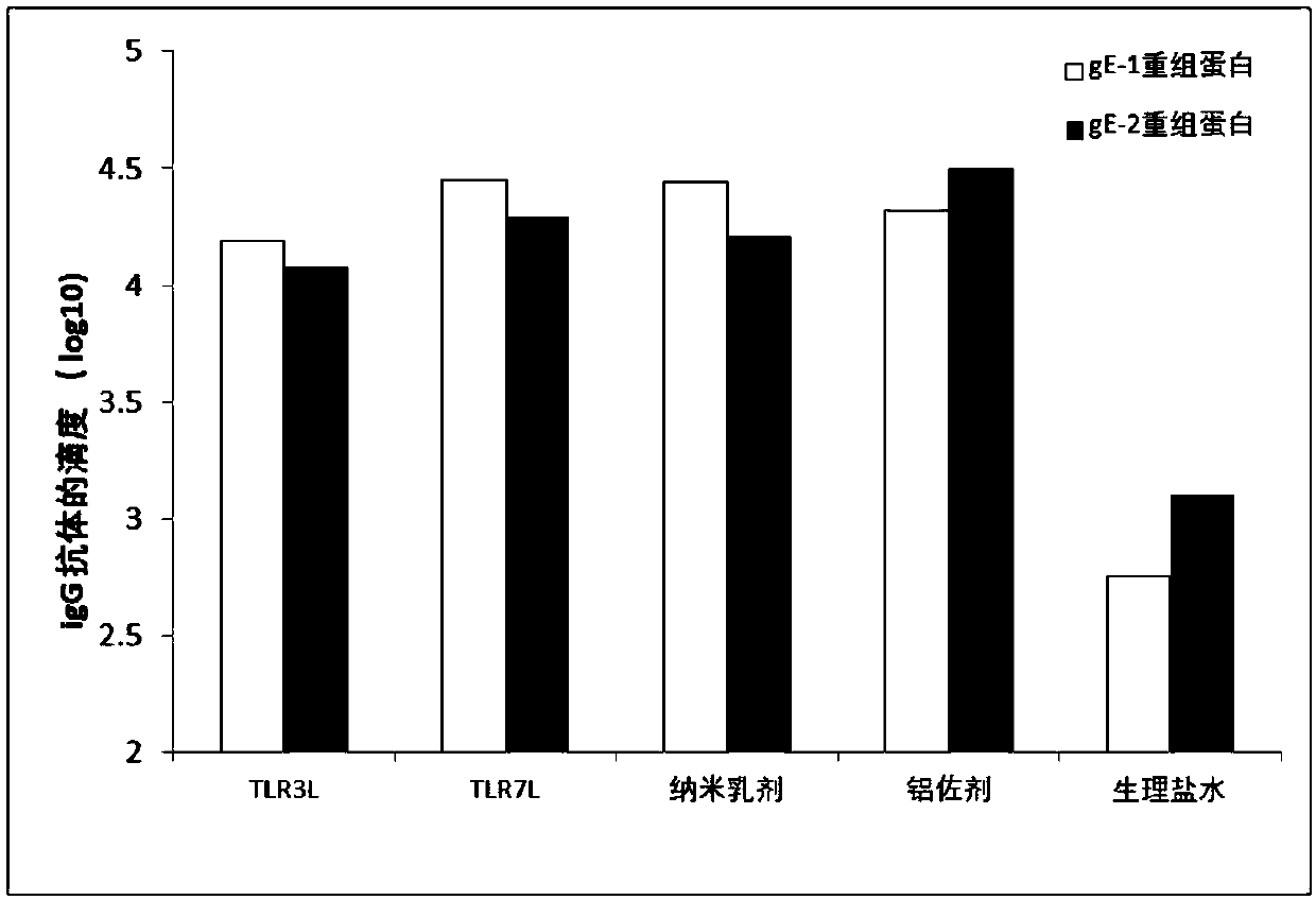 Herpes zoster virus vaccine, and preparation method and applications thereof