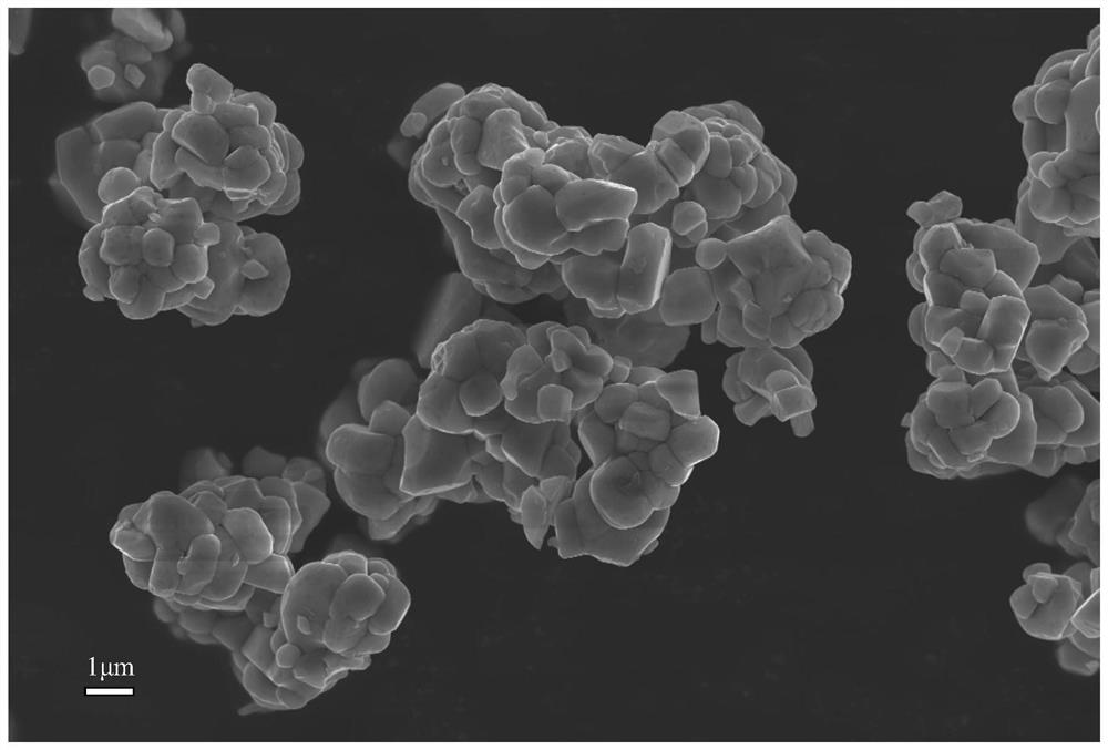 Ultrahigh nickel single-crystal positive electrode material and preparation method thereof