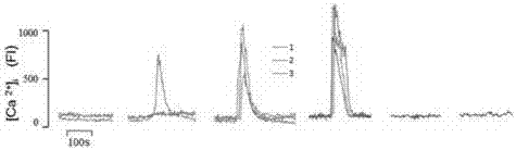 High-energy substances for preventing and treating senile neurodegenerative diseases and their medical applications