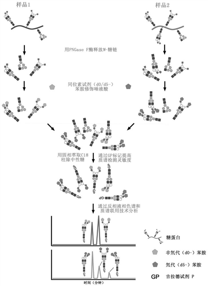 High-resolution sequential separation and accurate quantitative analysis of sialylated sugar chain isomers