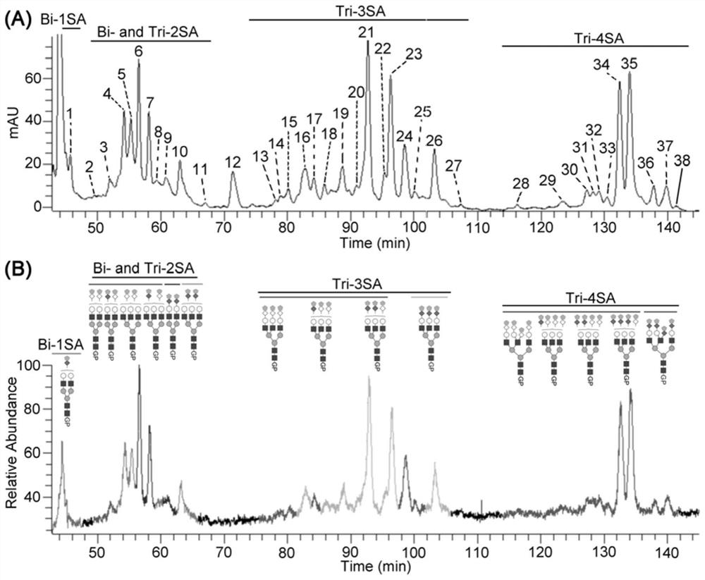 High-resolution sequential separation and accurate quantitative analysis of sialylated sugar chain isomers