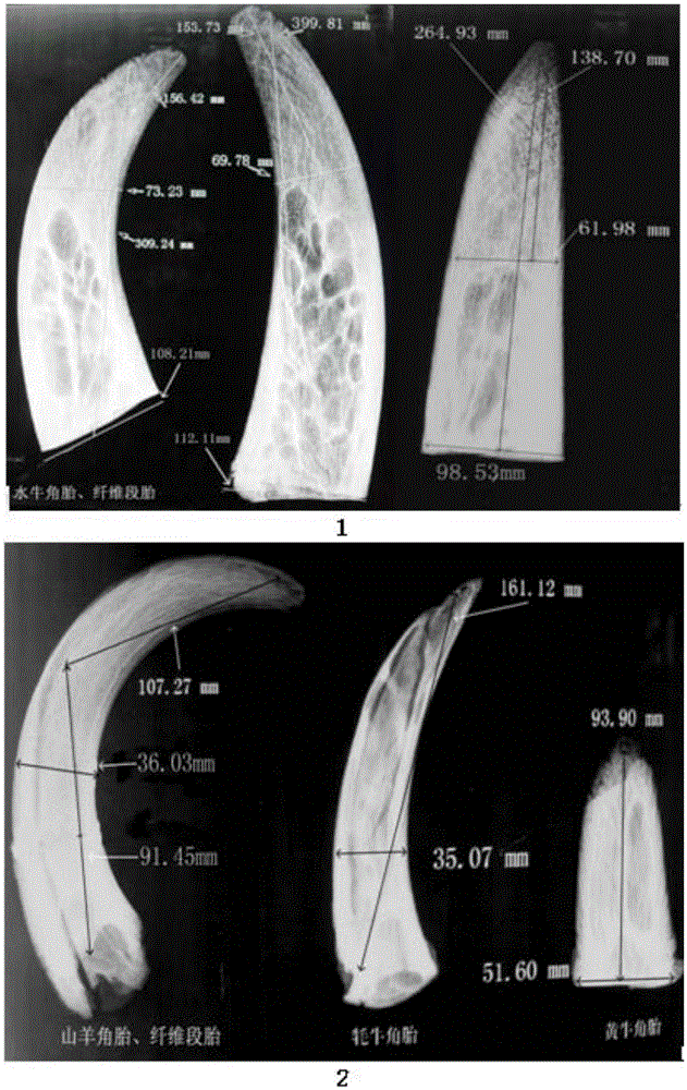 New bio-derived horn-fetal-bone material and application thereof