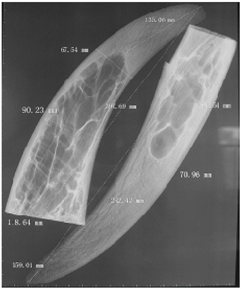 New bio-derived horn-fetal-bone material and application thereof