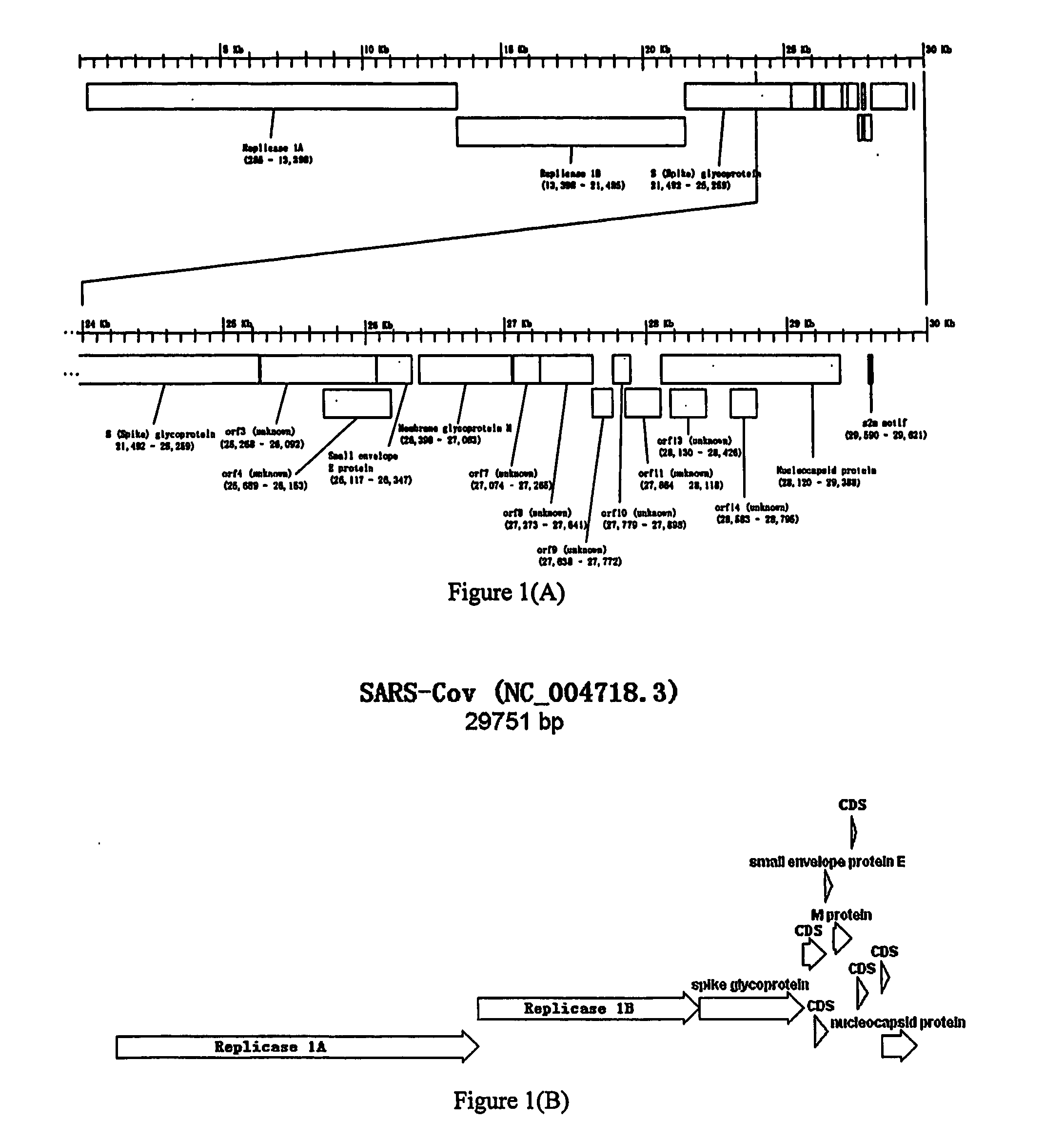 Methods and compositions for detecting sars virus and other infectious agents