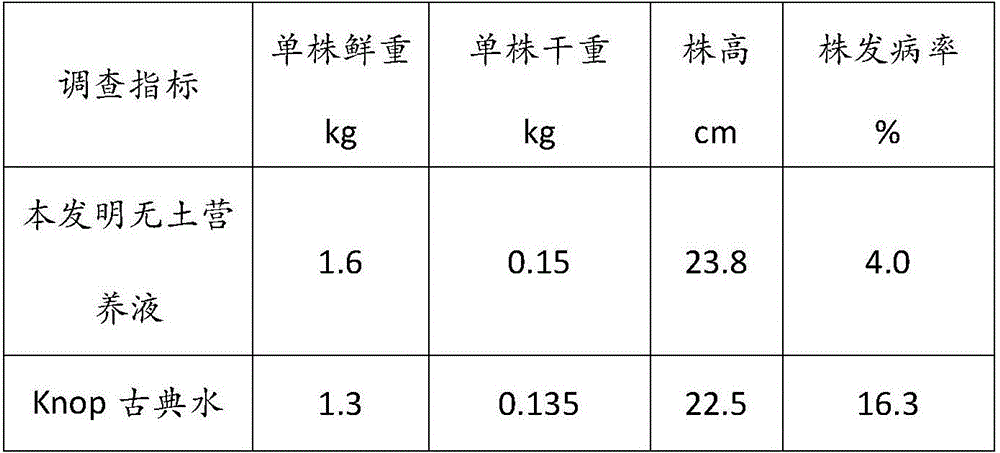 Special soilless culture nutrient solution for Chinese cabbages and preparation method thereof