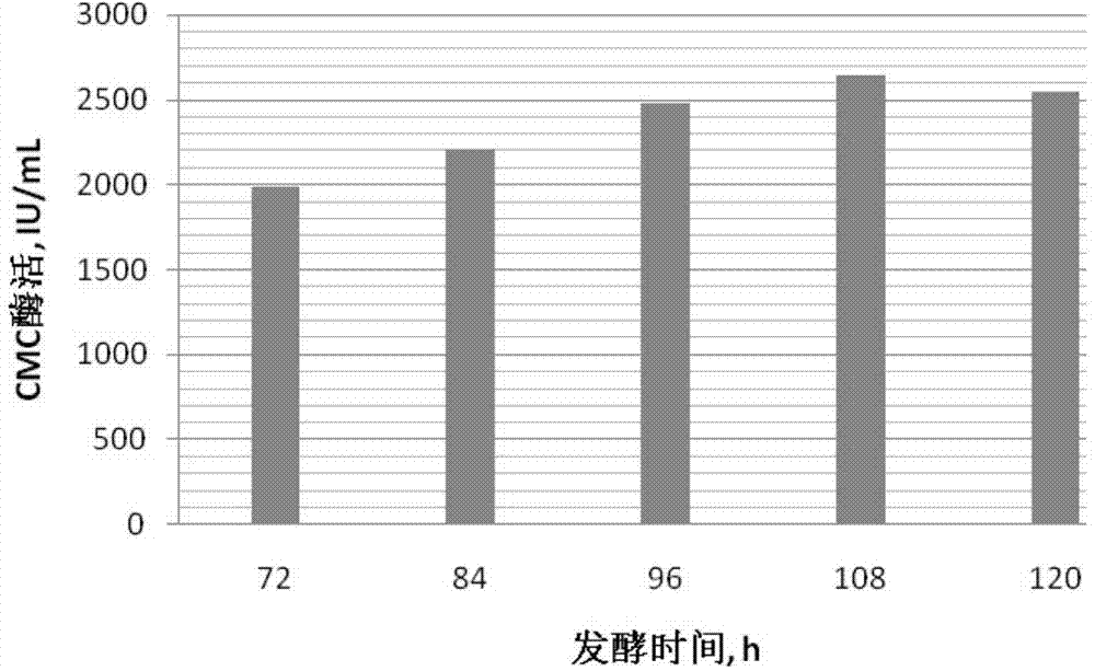 Method for preparing cellulase through trichoderma viride high-efficiency fermentation