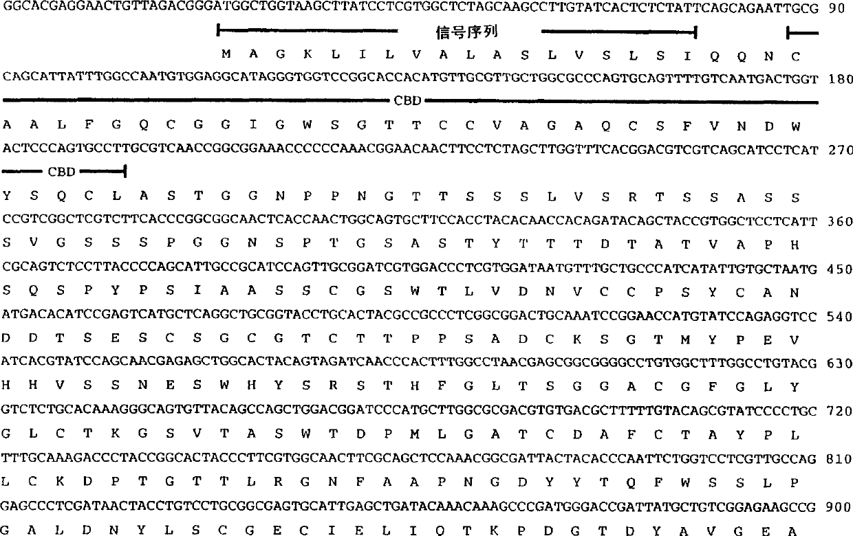 Microbial swollenin protein, DNA sequences encoding such swollenins and method of producing such swoolenins