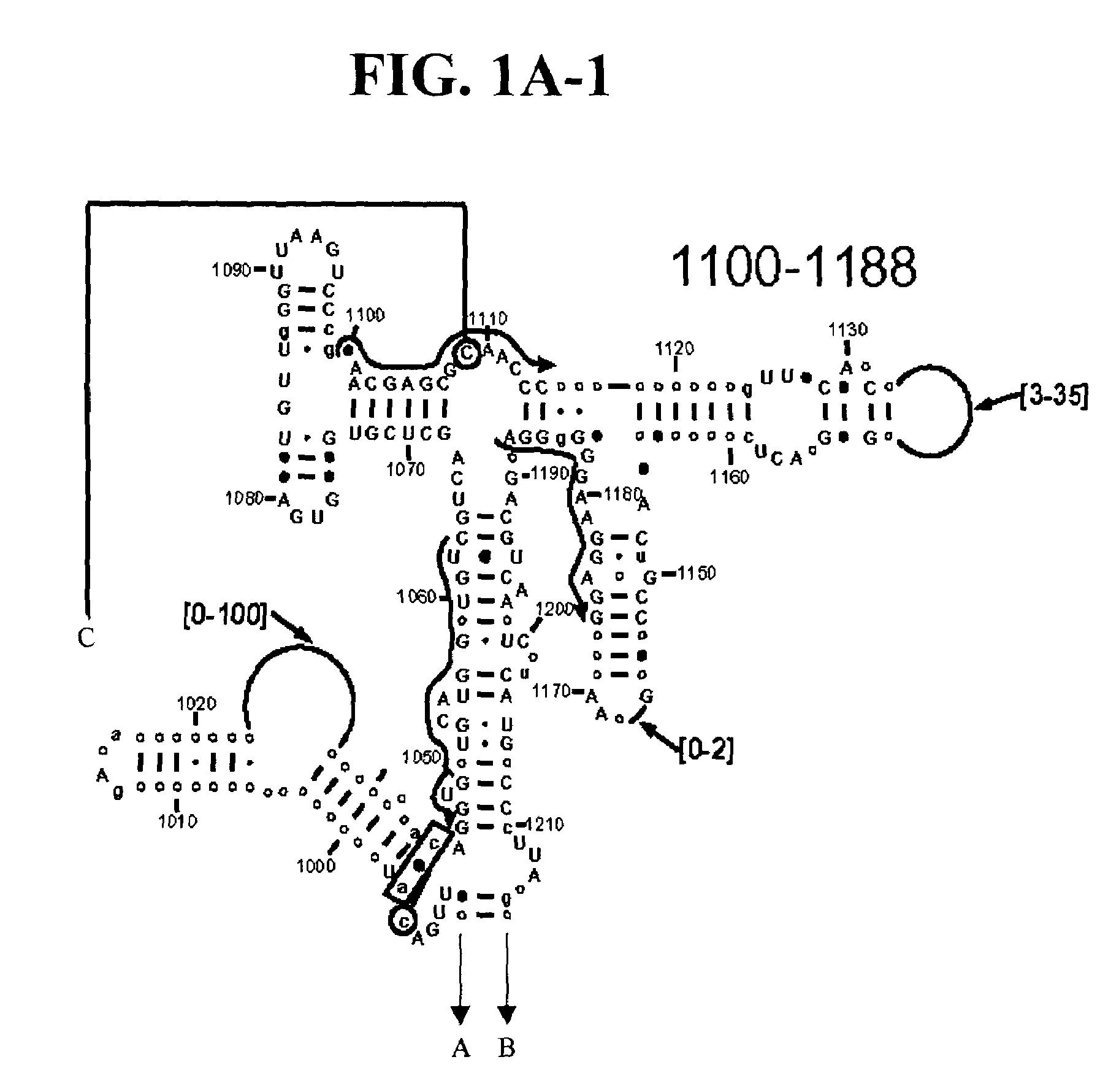 Methods for rapid detection and identification of bioagents in epidemiological and forensic investigations