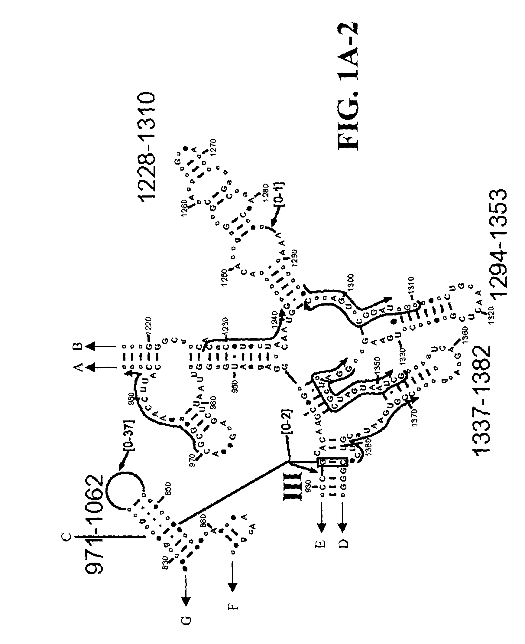 Methods for rapid detection and identification of bioagents in epidemiological and forensic investigations