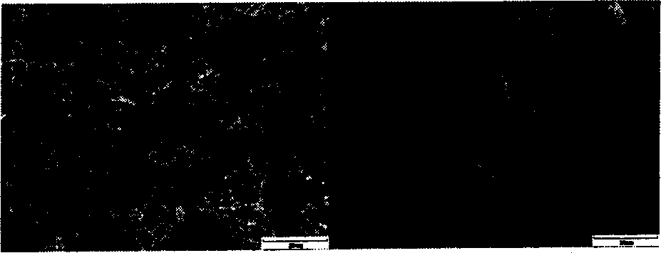 Particle shaping method and device thereof