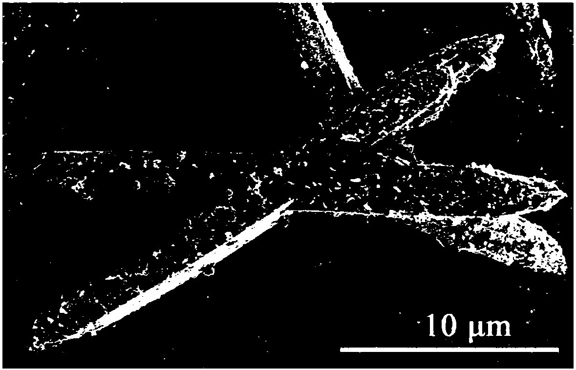 Preparation method of calcium carbonate whisker with continuously controllable morphology