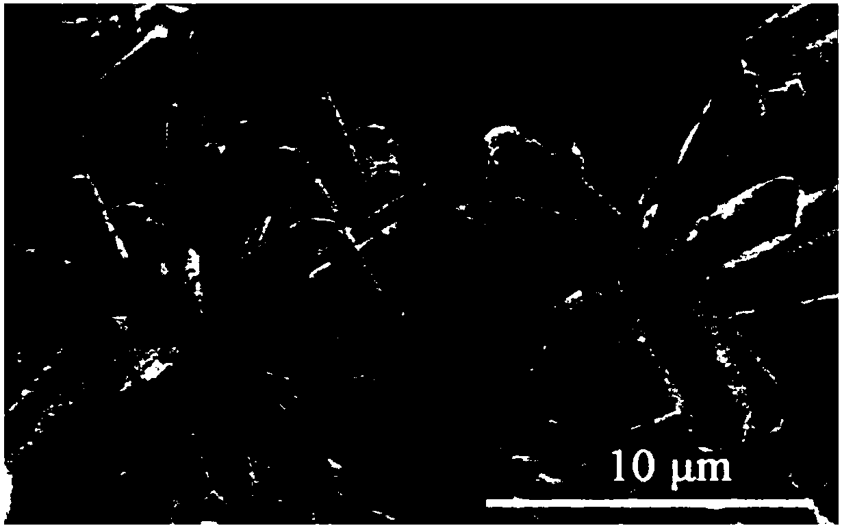 Preparation method of calcium carbonate whisker with continuously controllable morphology