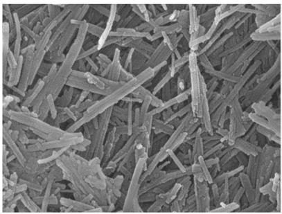 Preparation method of thiolated chitosan nano modified attapulgite soil passivator