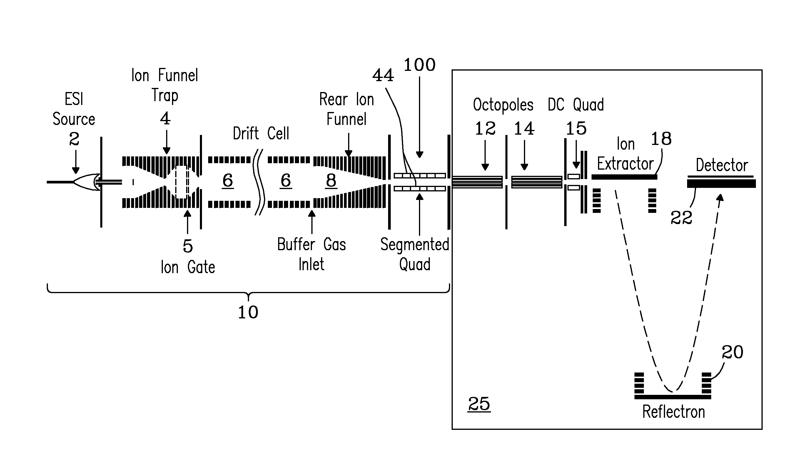 System and method for collisional activation of charged particles