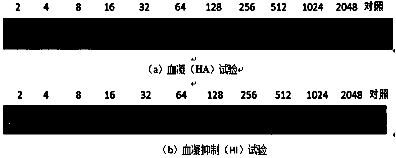 Newcastle disease virus strain and application thereof in preparation of Newcastle disease vaccine