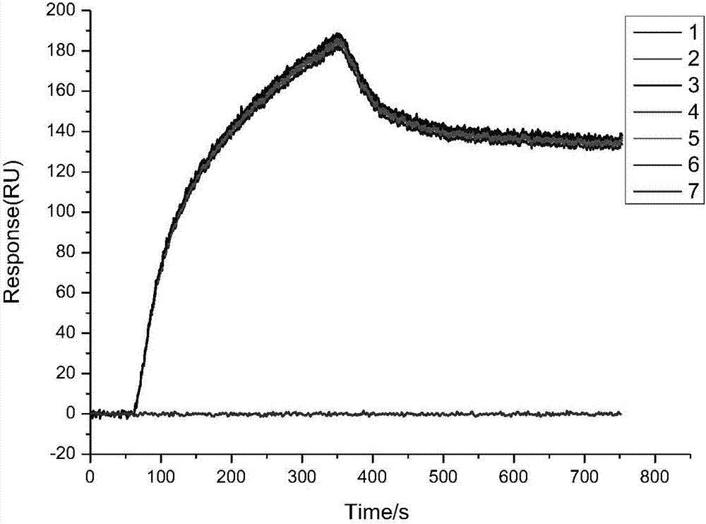 Micro-molecular chip, its preparation method and application