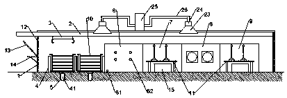 Automatic processing and producing system for preserved fresh flowers