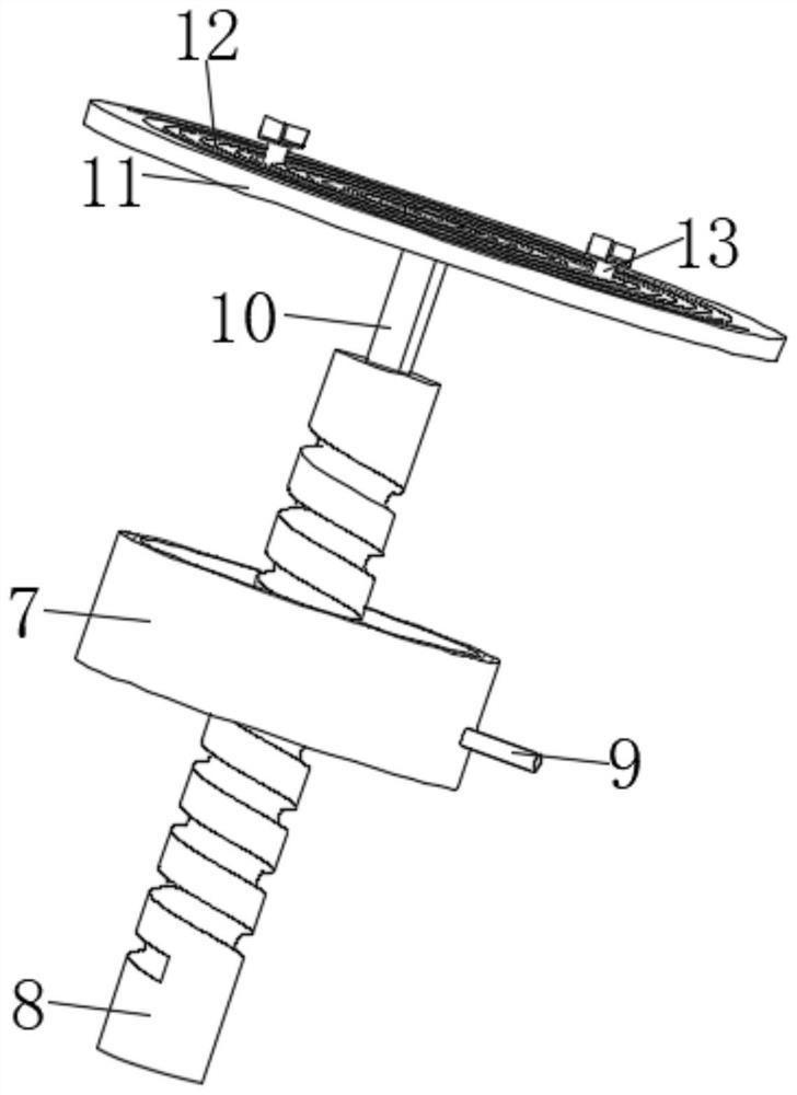 Display stand for environmental design major