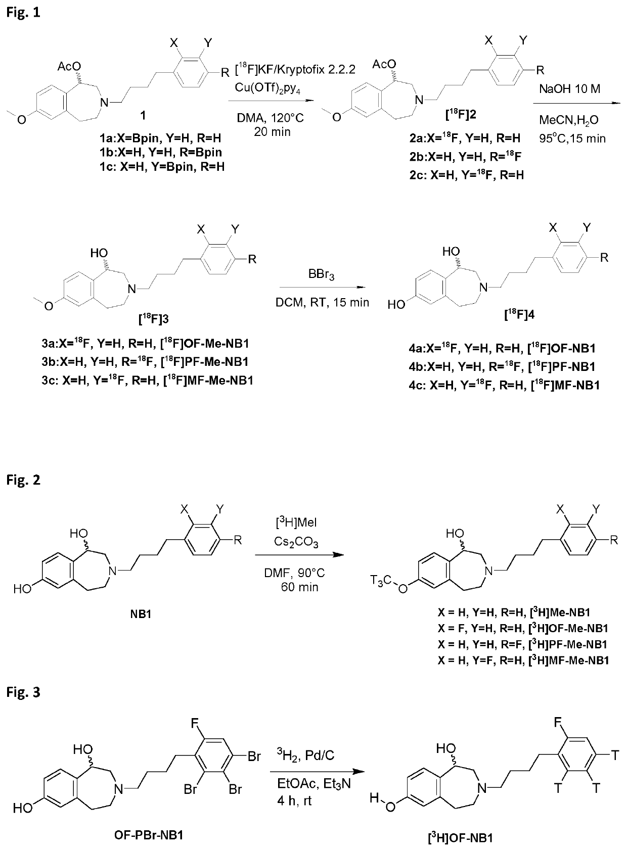 Benzazepin-l,7-diol-derived radiolabeled ligands with high in vivo NMDA specificity