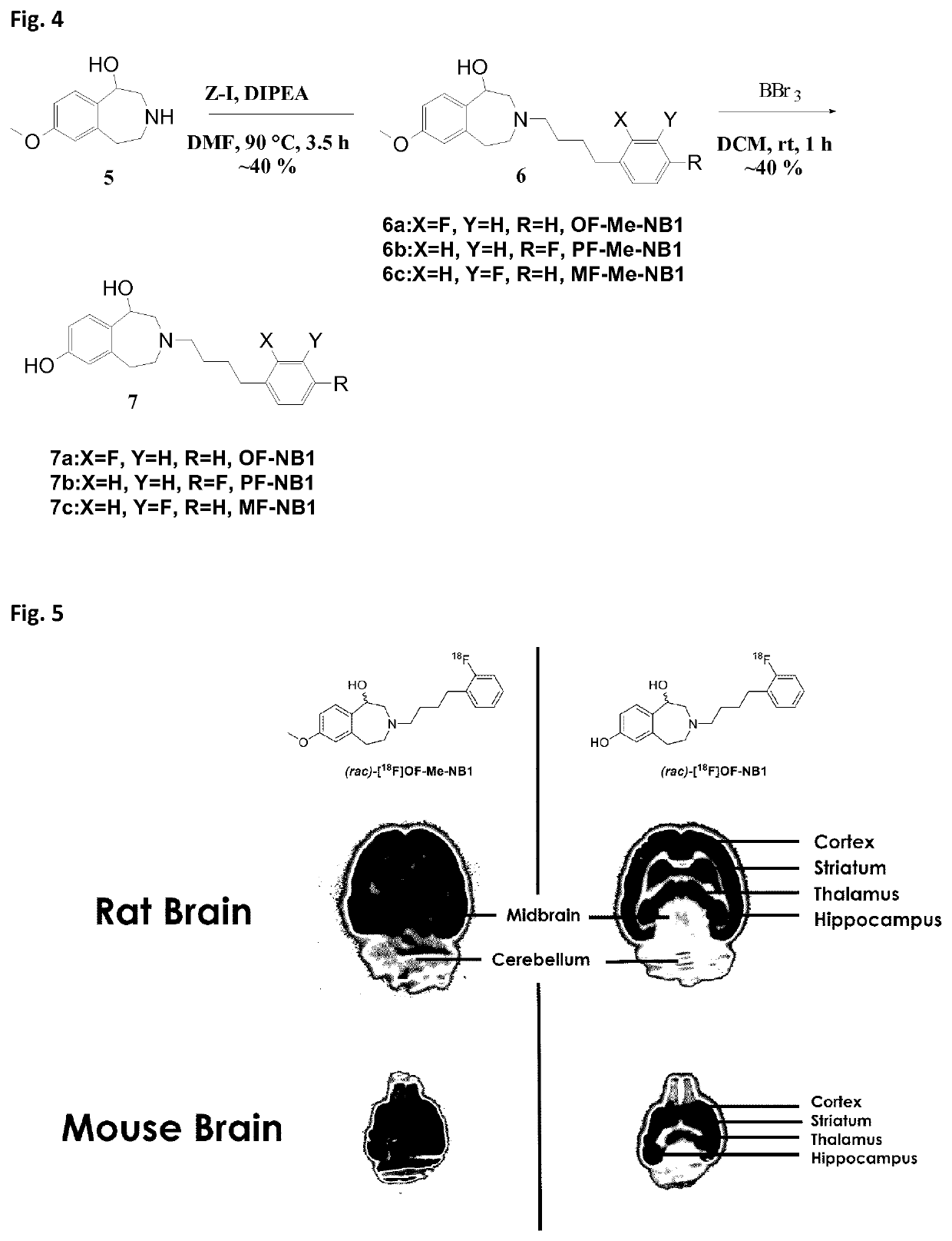 Benzazepin-l,7-diol-derived radiolabeled ligands with high in vivo NMDA specificity