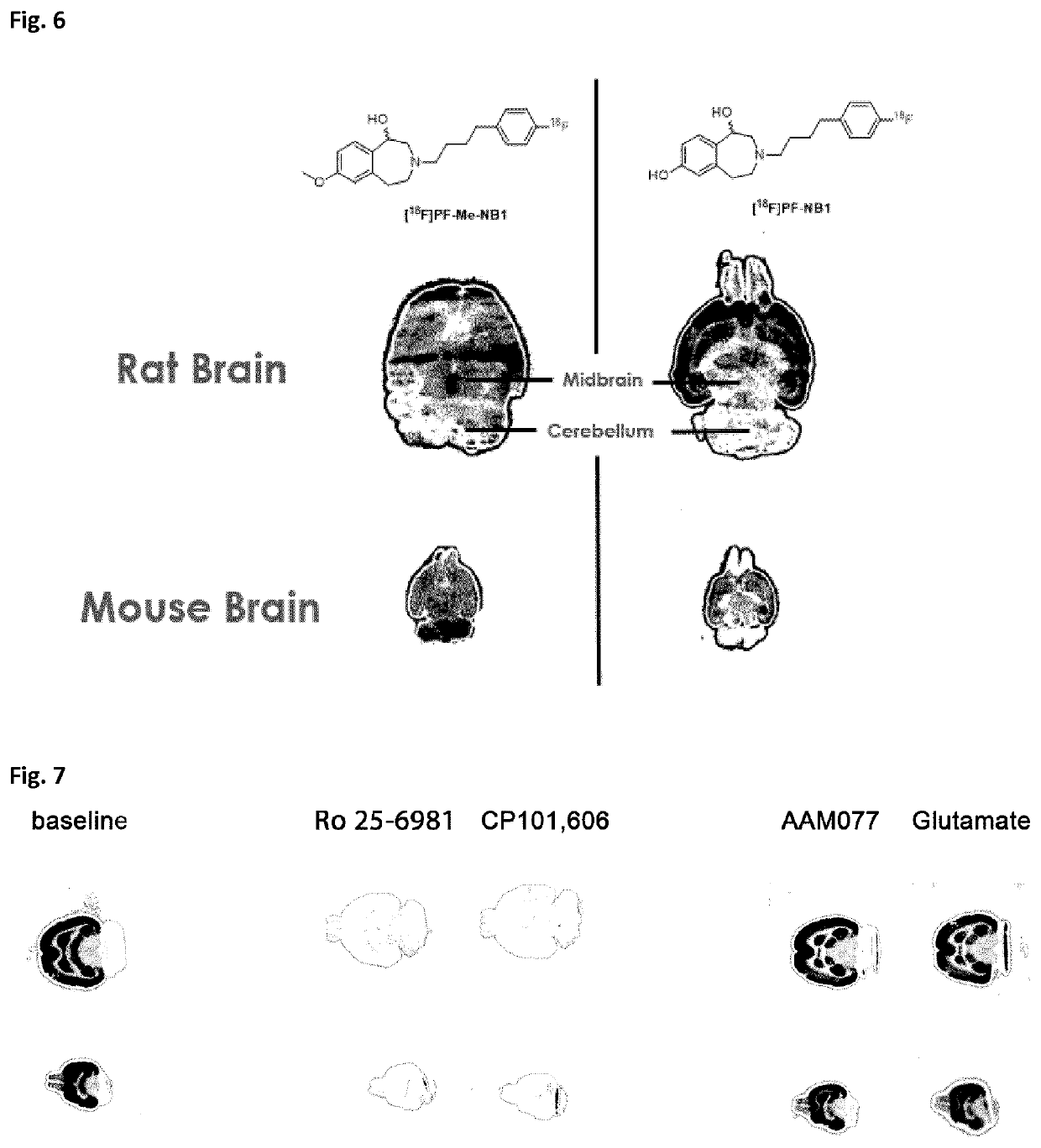 Benzazepin-l,7-diol-derived radiolabeled ligands with high in vivo NMDA specificity