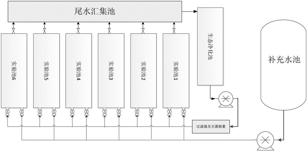 Ecological restoration method for penaeus vannamei boone aquaculture water body