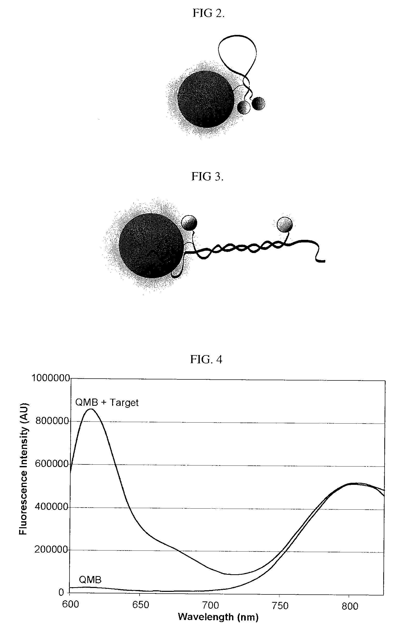 Quantitative molecular probes