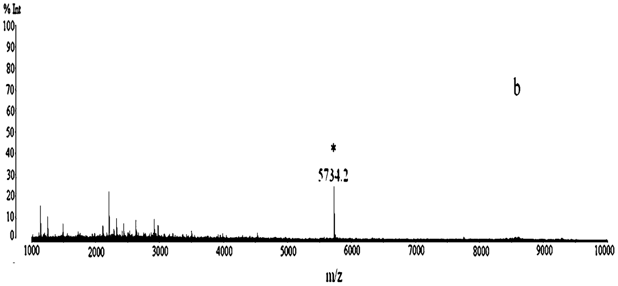 Preparation and application of monoclonal antibody against pancreatic cancer-associated polypeptide dap44