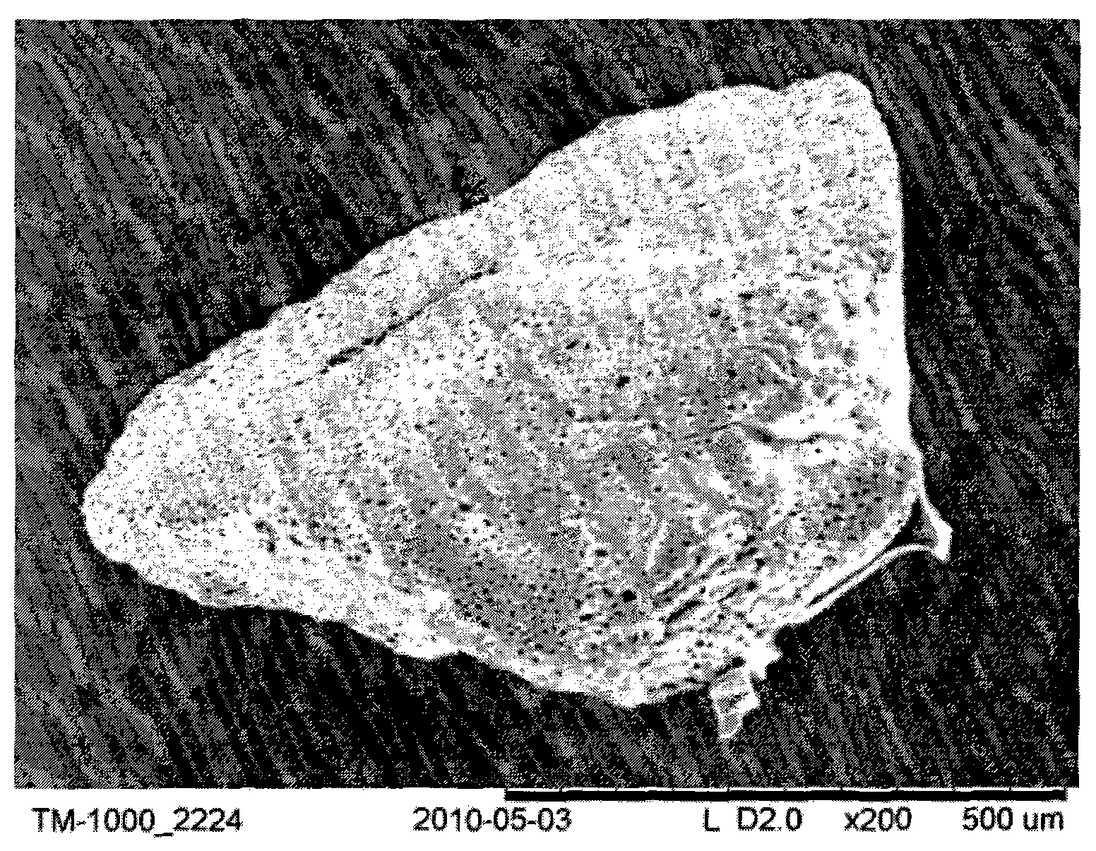 Alumina membrane coated activated carbon and preparation method thereof