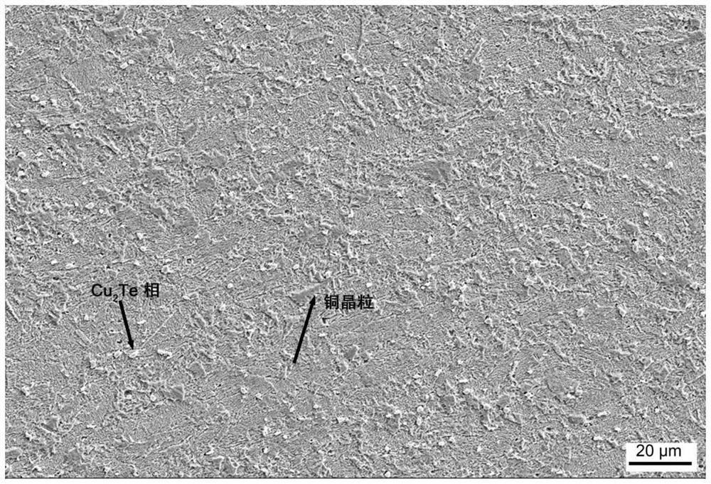 Device and method for continuous casting extrusion forming of copper and copper alloy