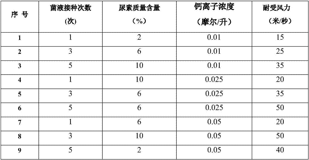 Method for preventing opencast coal mine dust from dispersing by utilizing microorganisms and salt groundwater