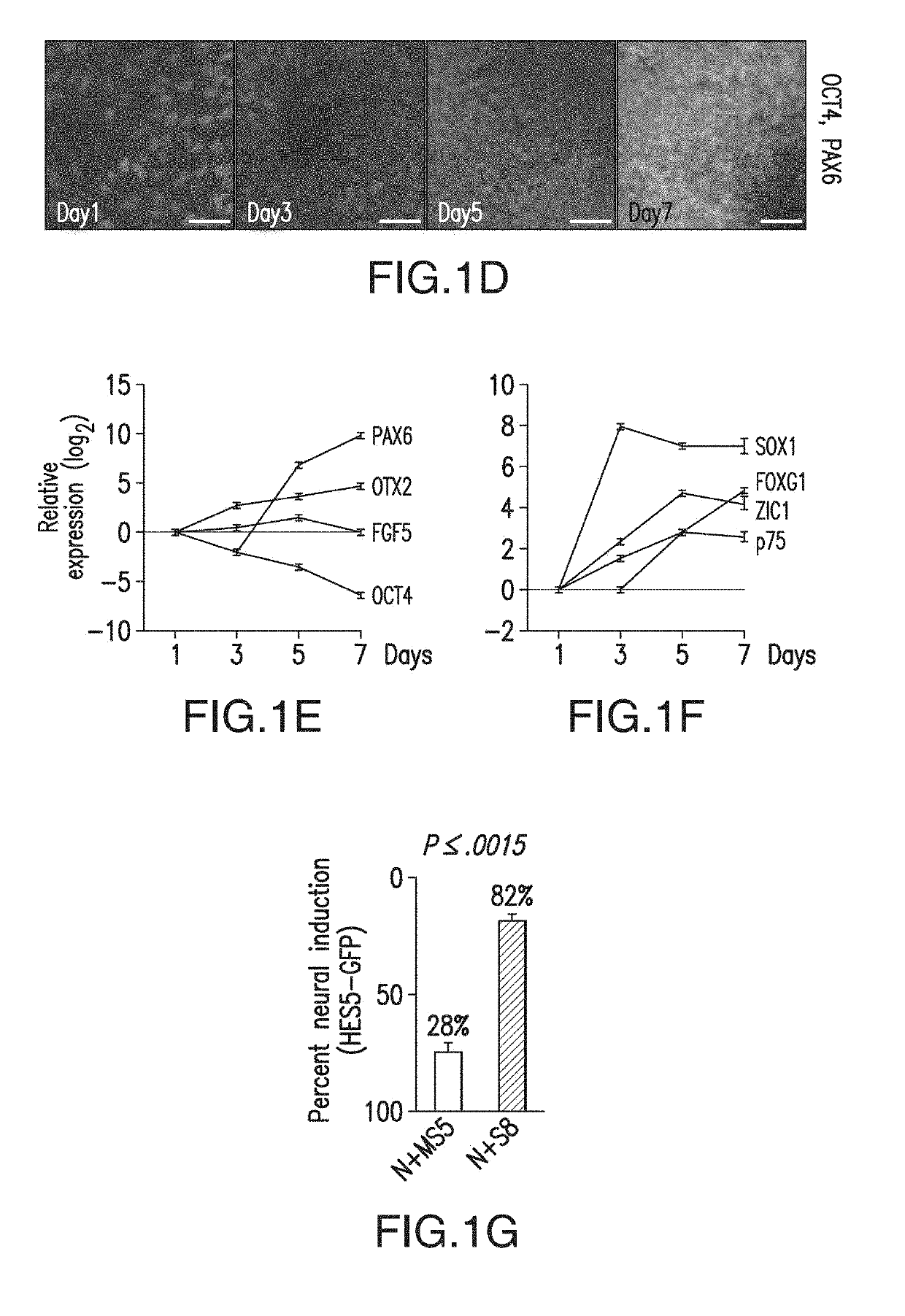 Specification of functional cranial placode derivatives from human pluripotent stem cells