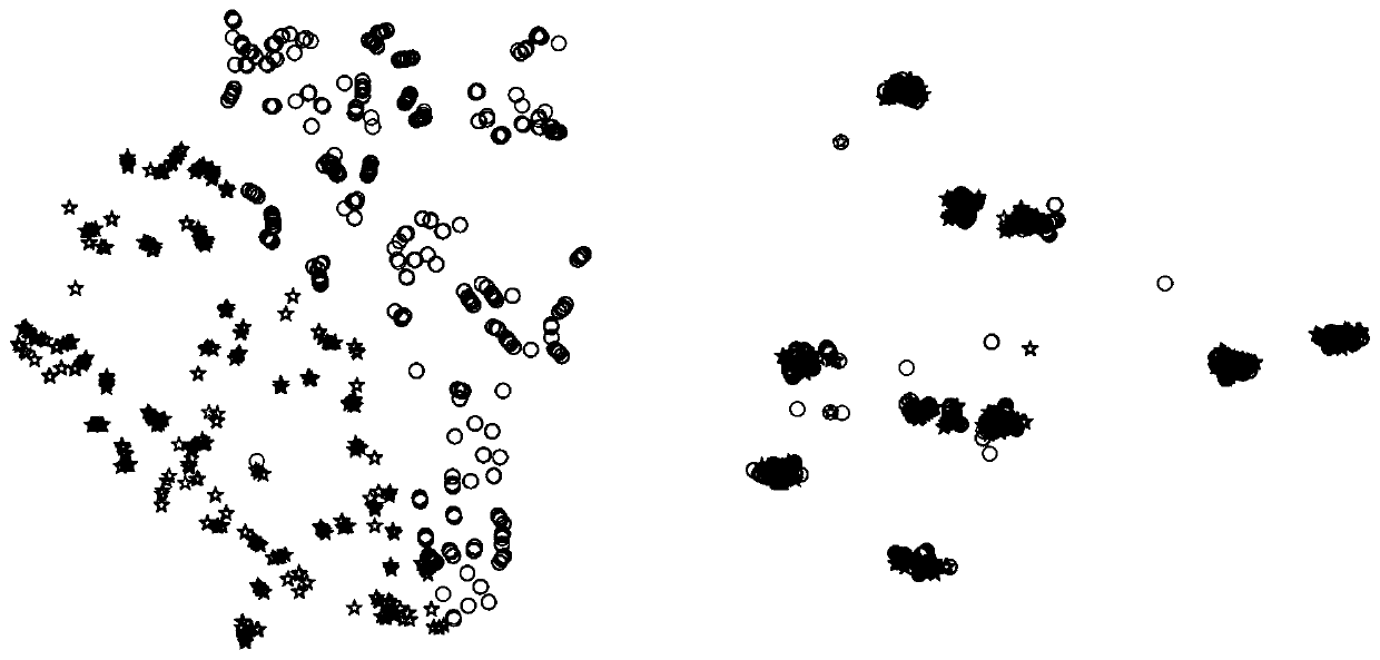 Cross-domain image classification method based on coupling knowledge migration