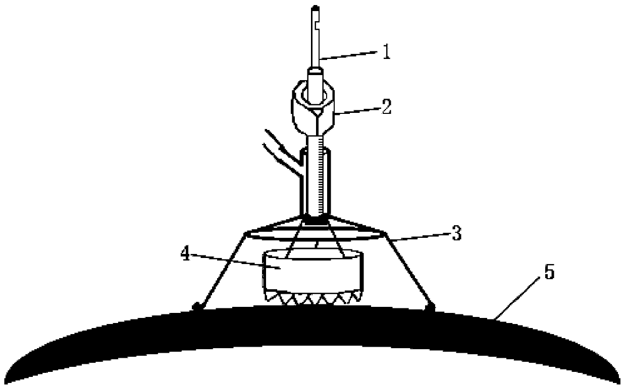 Modeling tool for animal skull defect models, and application method of modeling tool