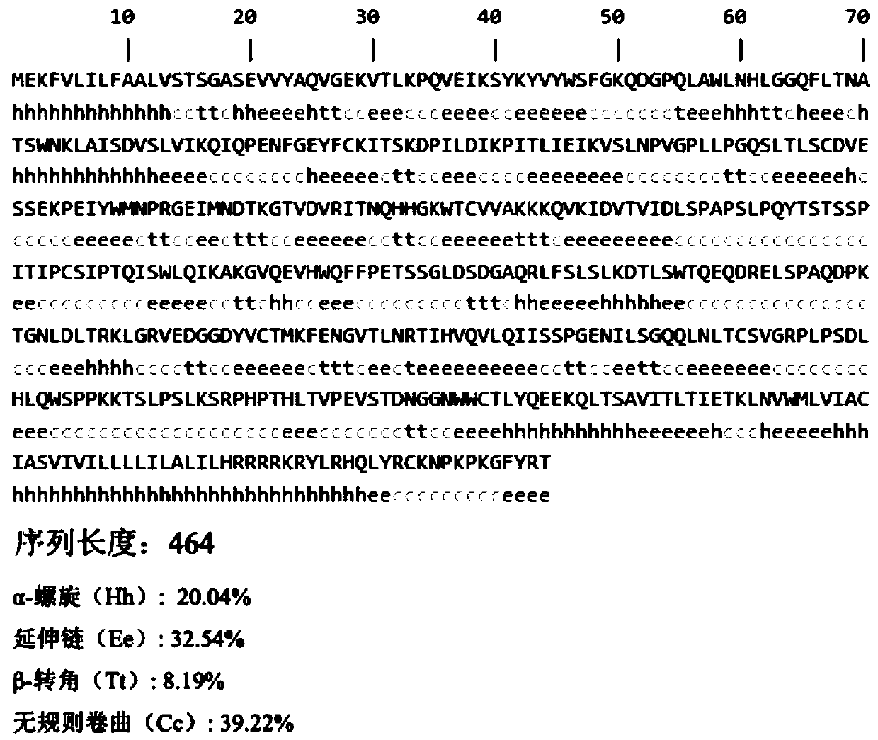 Monoclonal antibody for paralichthys olivaceus resistant T cell surface marker molecule CD4-1 as well as preparation method and application thereof